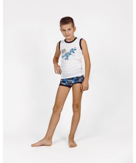  Children's boy's underwear set - dino